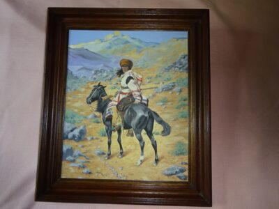 AM256 - Cavalier indien