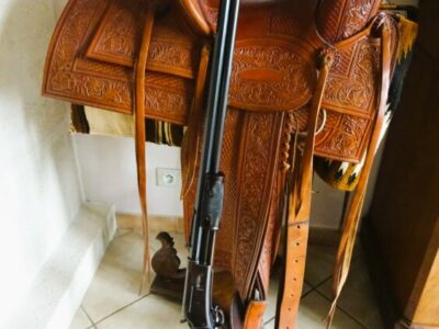 AE285 - RIFLE COLT LIGHTNING