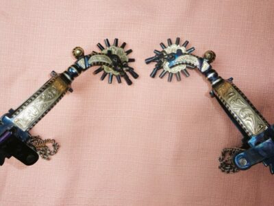 AM534 - EPERONS AMERICAINS