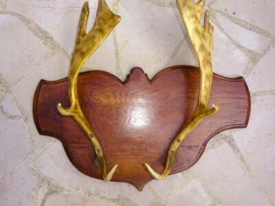 AM541 - TROPHEE DE CHASSE
